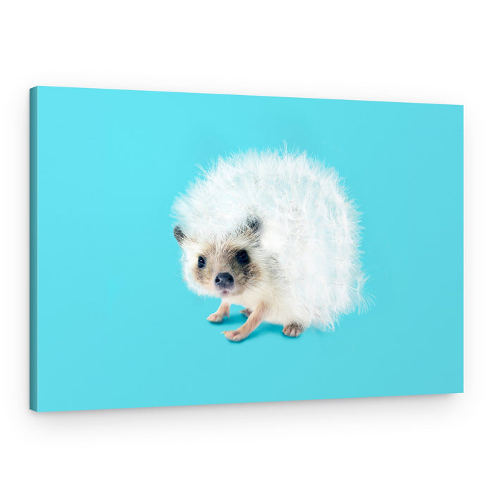 Whimsical Dandelion Hedgehog – Canvas Print