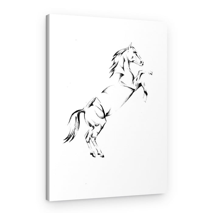 Majestic Rearing Horse – Canvas Print