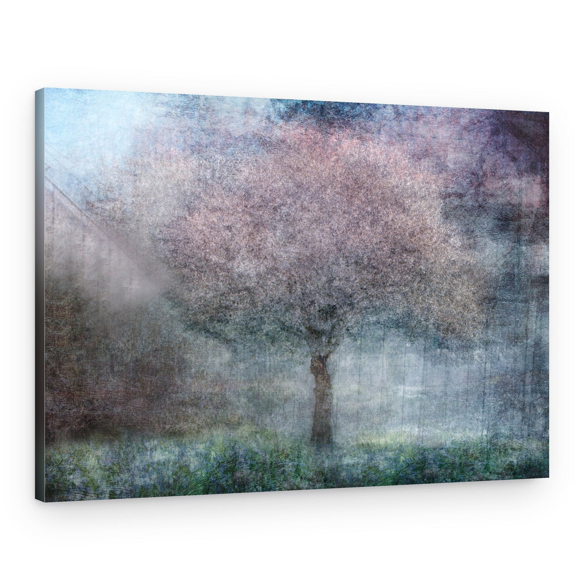 Misty Dream Tree – Canvas Print