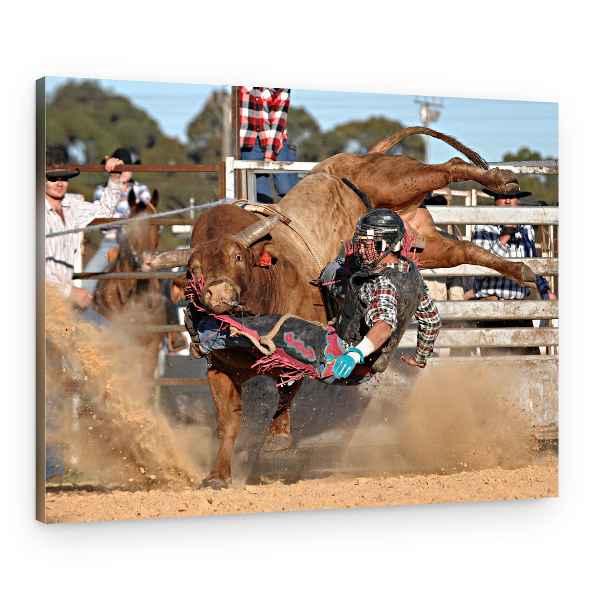 Bucking Bull Rider – Canvas Print