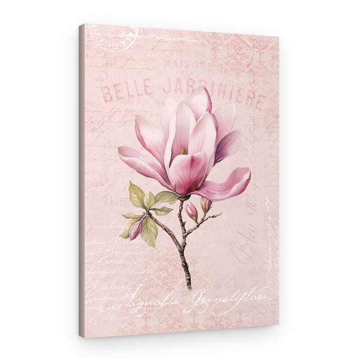 Pink Magnolia Bloom – Canvas Print