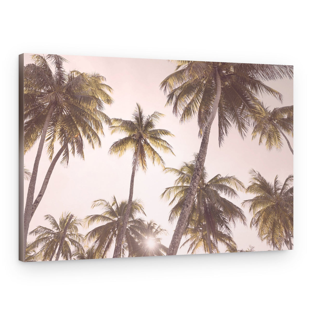 Blush Palm Trees – Canvas Print