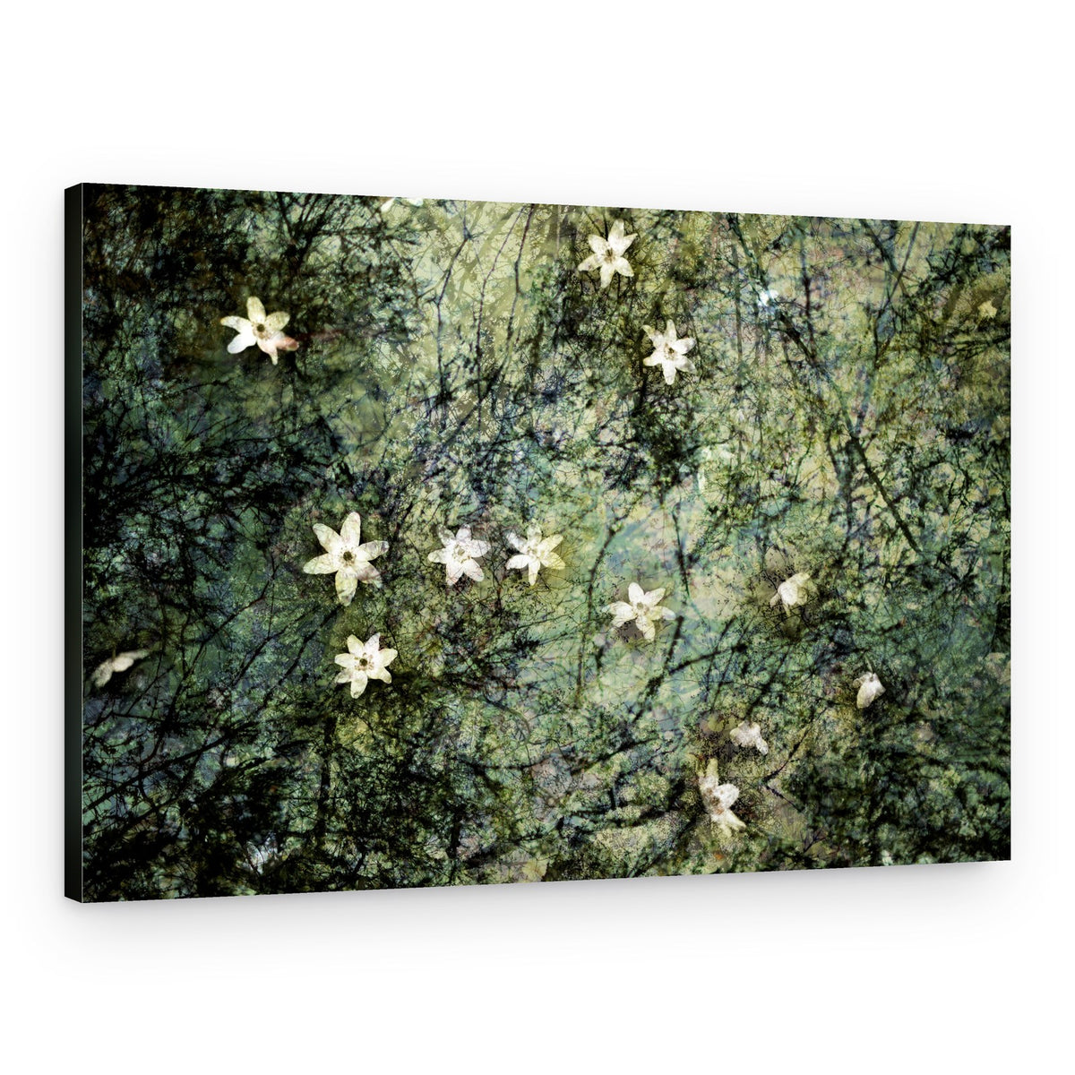 Floating White Blossoms – Canvas Print