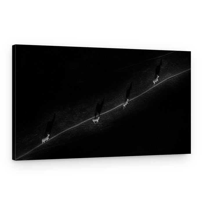 Minimalist Sheep Walk – Canvas Print