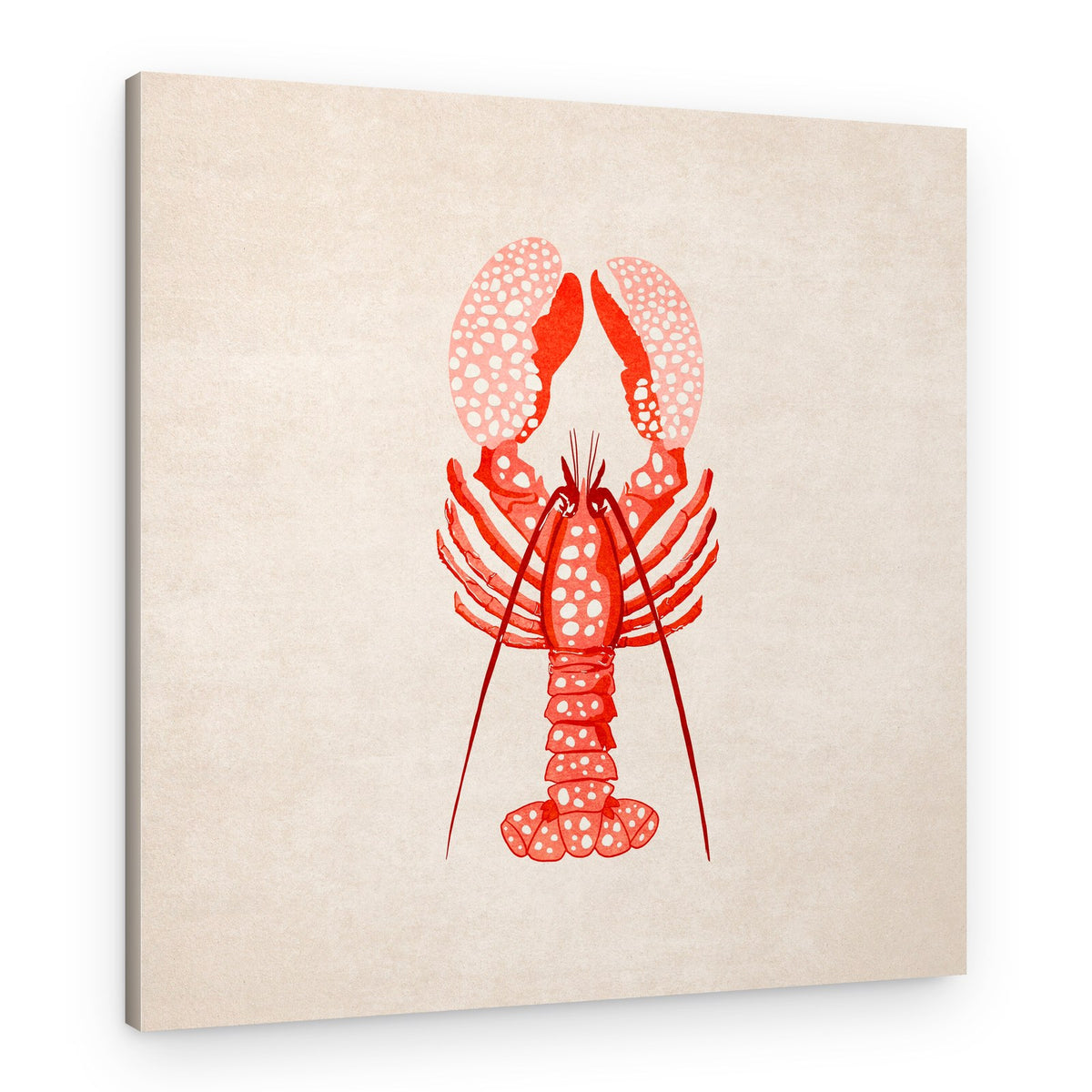 Spotted Lobster Elegance – Canvas Print