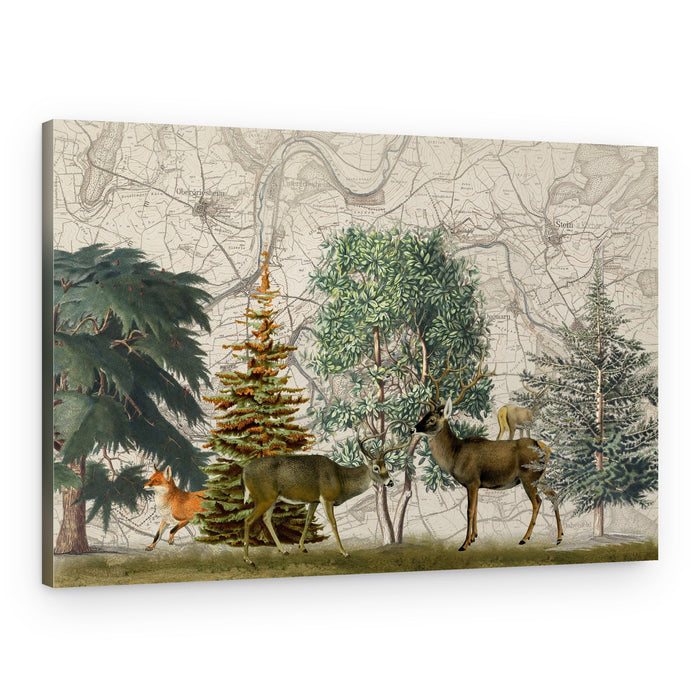 Forest Wildlife on Map – Canvas Print