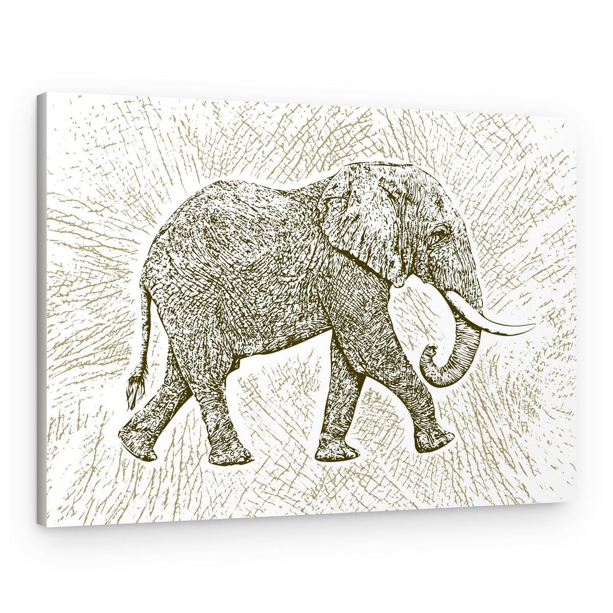 Safari Elephant Drawing – Canvas Print