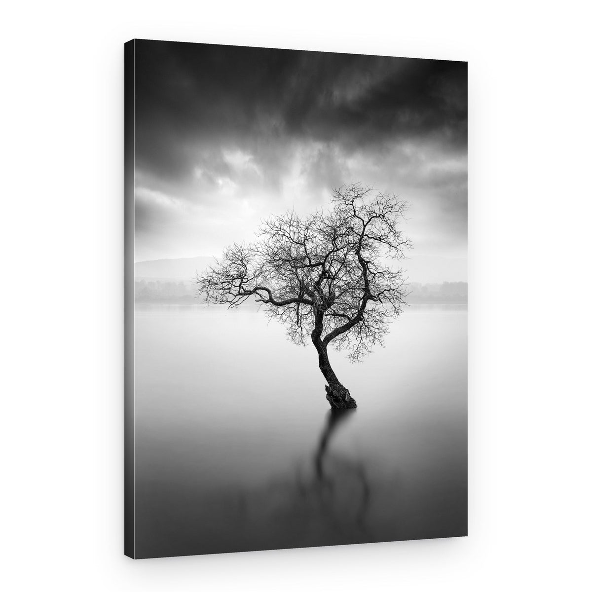 Lone Tree Reflection – Canvas Print
