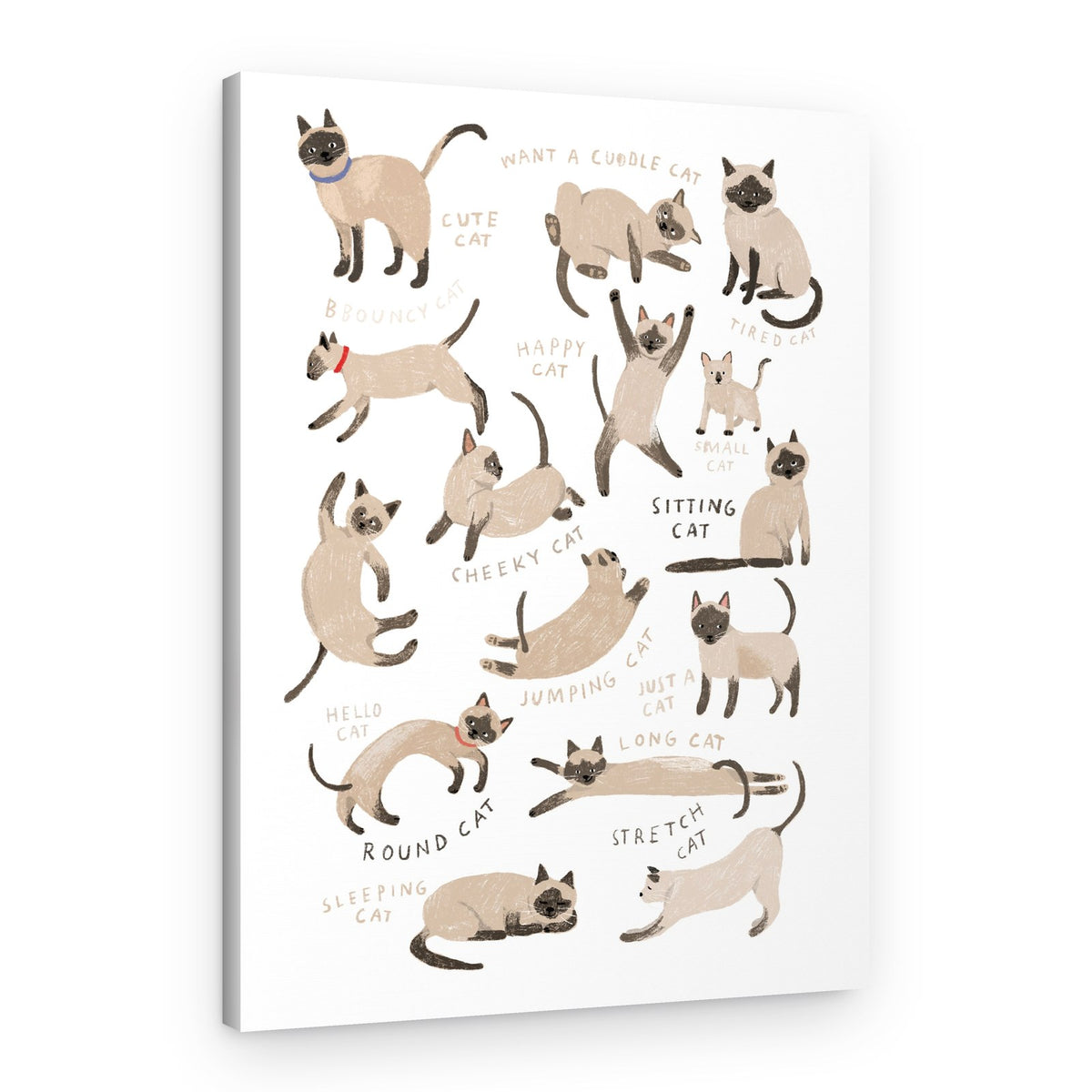 Cute Siamese Cat Poses – Canvas Print