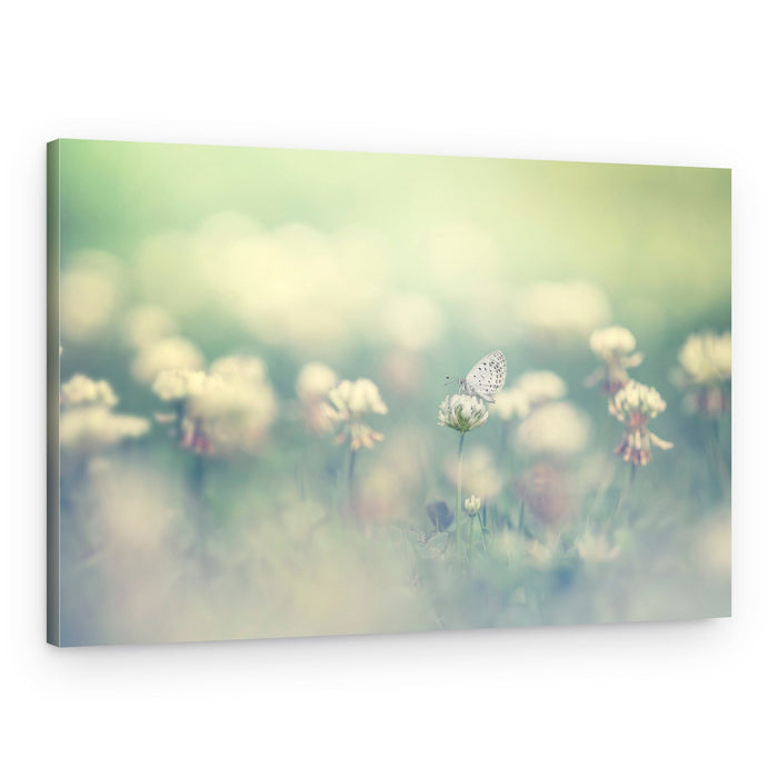 Dreamy Clover Butterfly – Canvas Print
